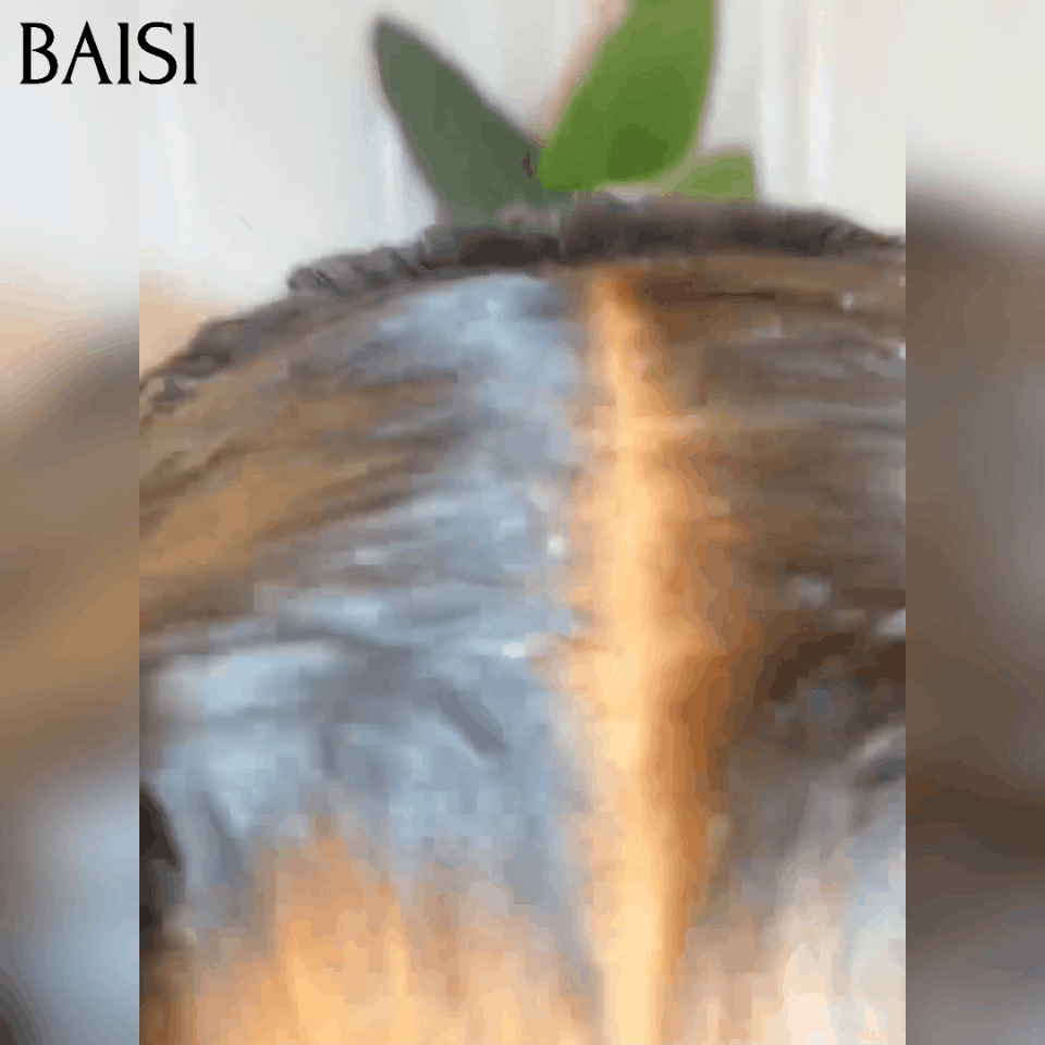 BAISI 5X5 Bouncy Body Wigs 10 inches €105 Black custom cut voluminous curls Vietnam Hair 300% density over 20 years of use