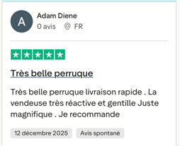 BAISI Nouvelle Arrivée Perruques Moitié Prix 13x4 frontal Lace 189€ ou Vietnam Hair 329€ Chignon de nattes NOIR en chignon bun En 100% cheveux humains