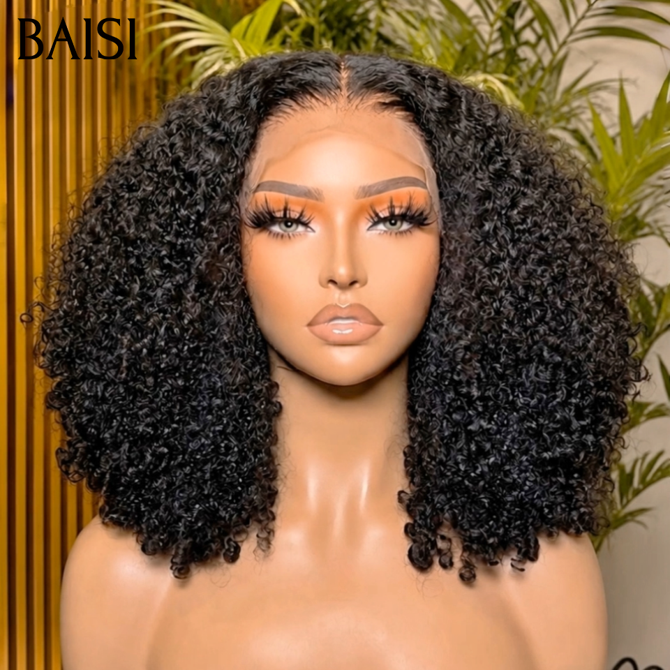 BAISI Set of 2 PROMOTION wigs in 100% real human hair €164 AND €120 (no code needed)