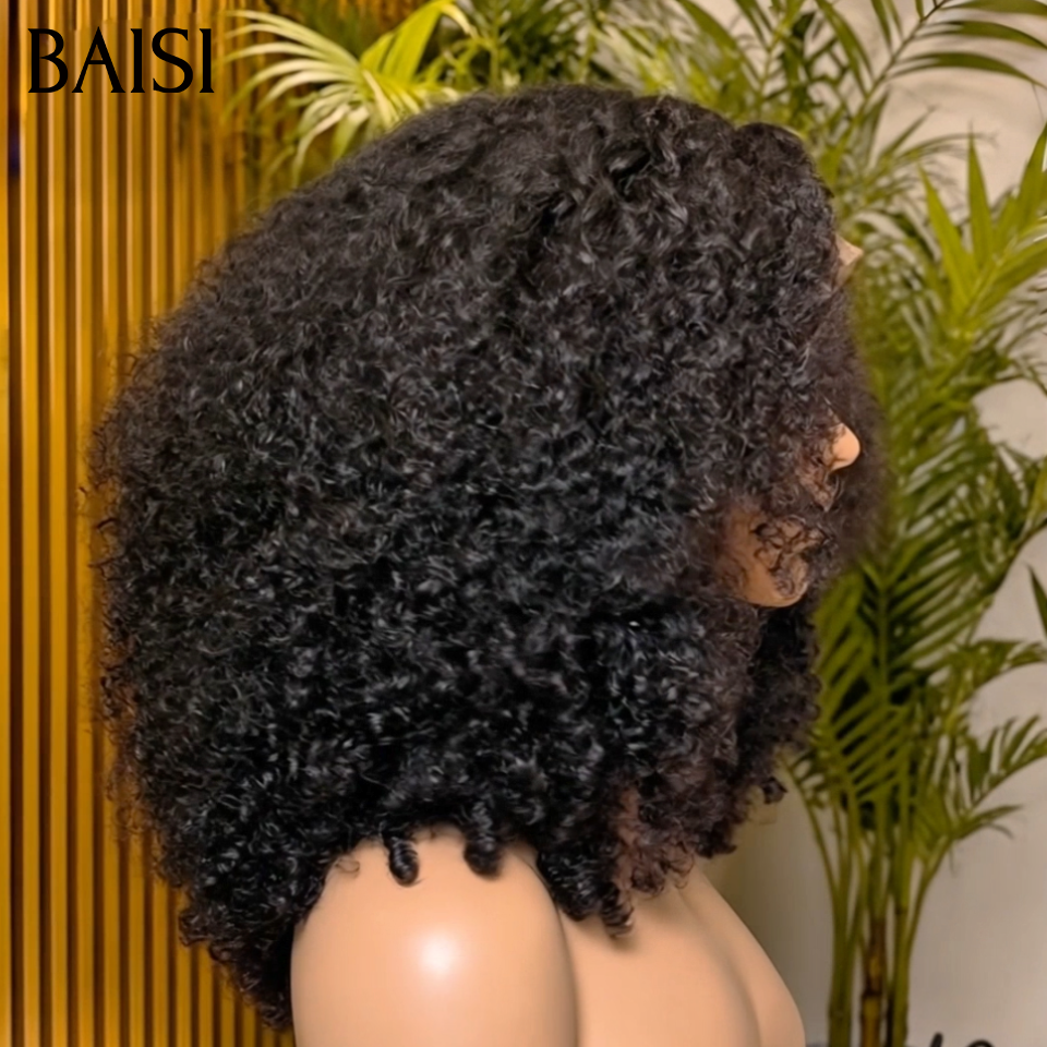 BAISI Set of 2 PROMOTION wigs in 100% real human hair €164 AND €120 (no code needed)